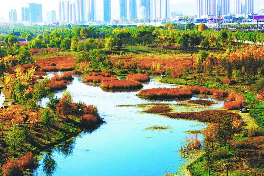 2020年中国园林行业现状分析城市园林绿地面积有望进一步增加「图」