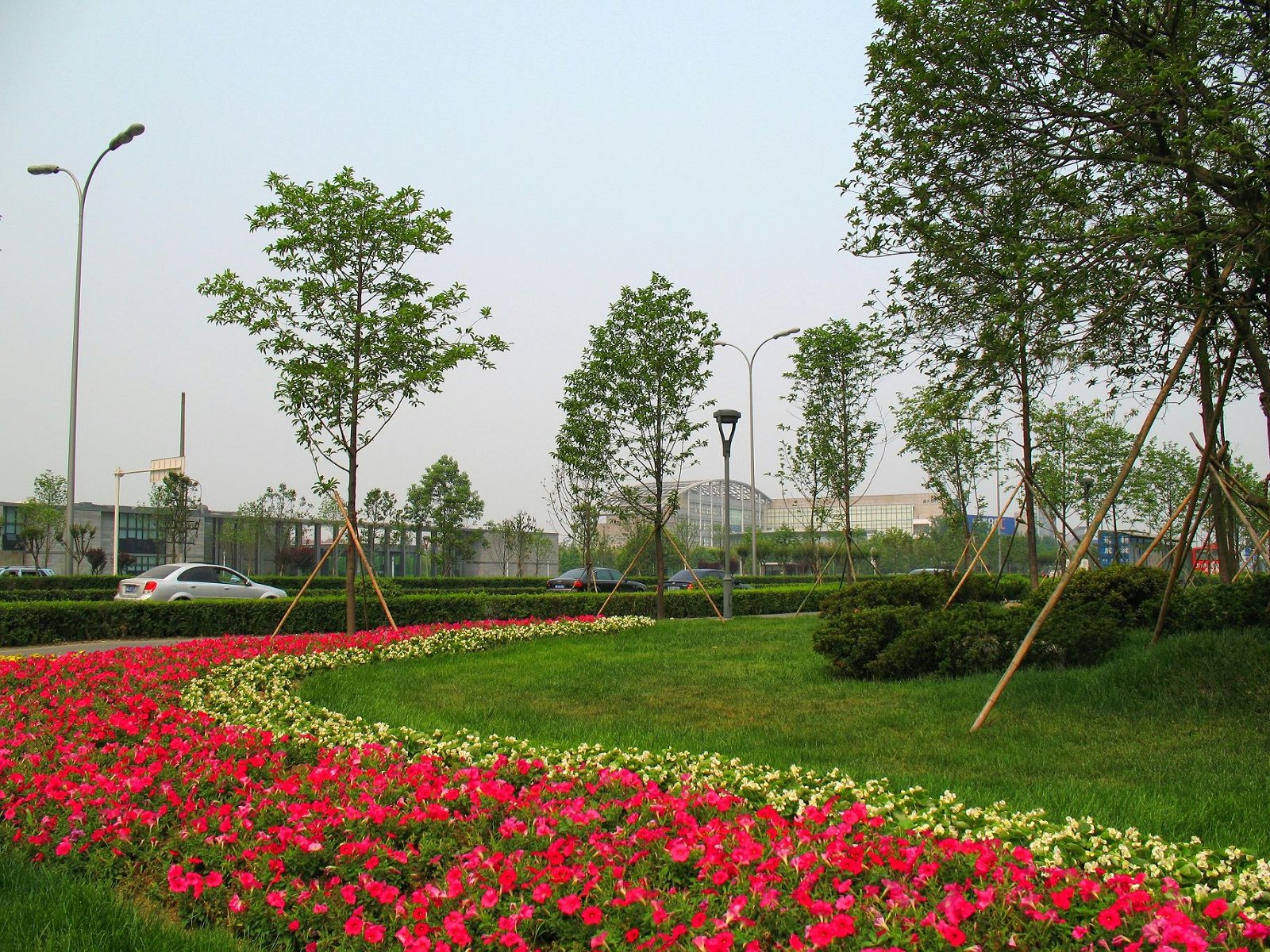 北京市600个居住区试点开展绿化问题全面治理