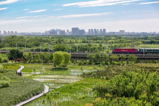 北京艳杰园林绿化工程有限公司被罚款06万元