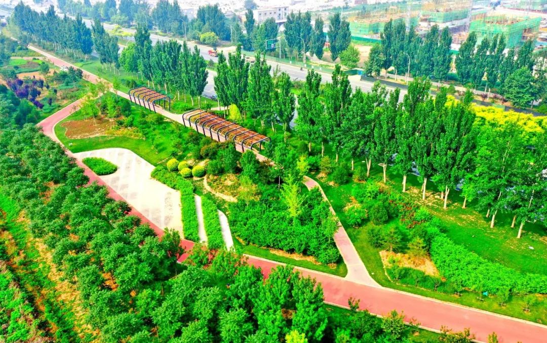 荆州八项园林绿化工程摘得“市优”看看是哪些！