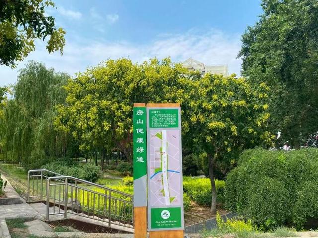 厚植生态底色共绘绿美画卷——广东广州园林绿化高质量发展侧记