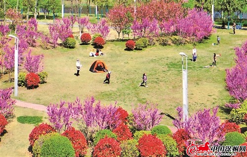 黑龙江：推动城市园林绿化迈上新台阶