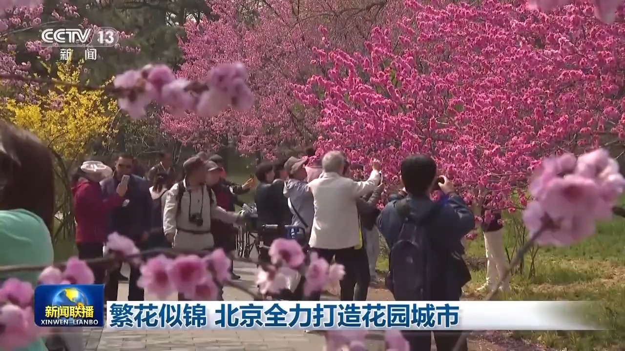 北京各类公园突破千个 满城春花让市民乐享自然之美(图1)
