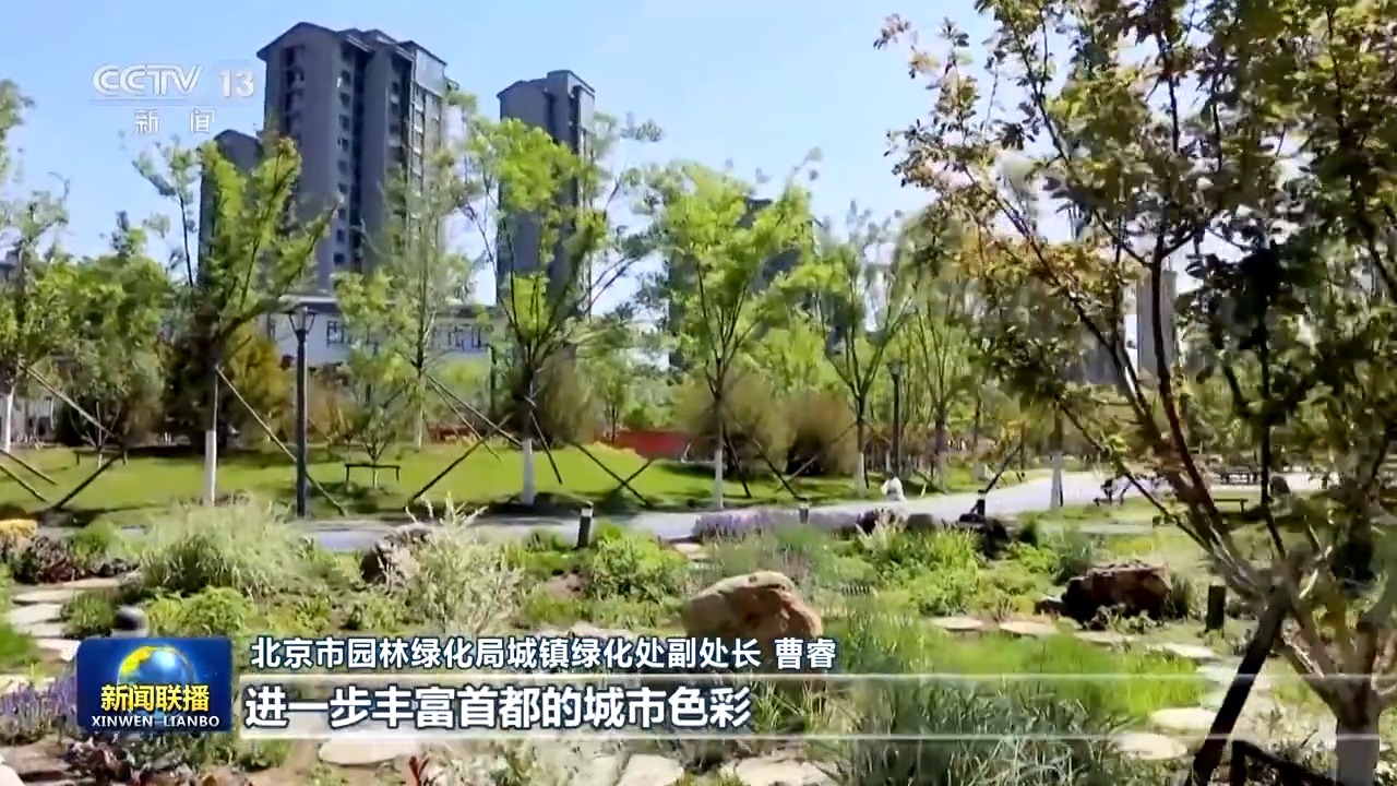 北京各类公园突破千个 满城春花让市民乐享自然之美(图2)